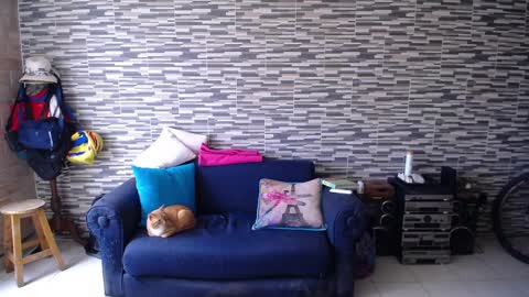 Violeta Gmez online show from April 2, 5:11 pm