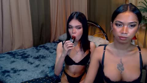 wildara online show from October 22, 10:50 am