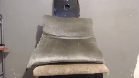 SHENIEL RODRIGUEZ online show from October 26, 1:34 am