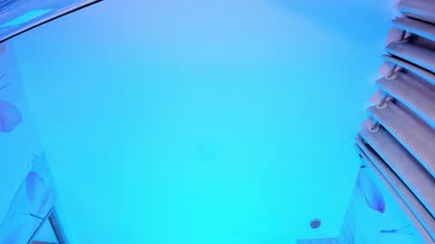 Nathalia online show from October 3, 12:05 pm