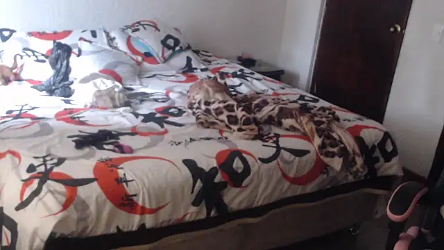 LucifernandaSw online show from February 25, 1:04 pm