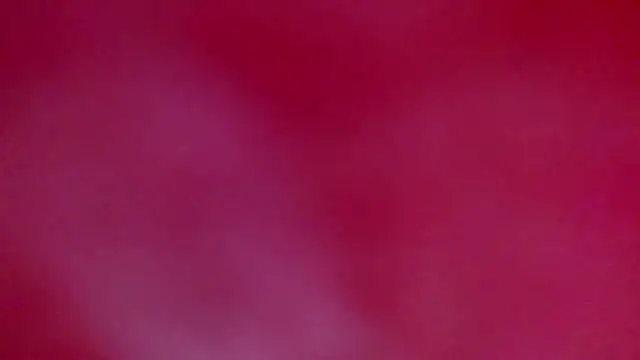 ray and 666 online show from January 18, 10:45 am