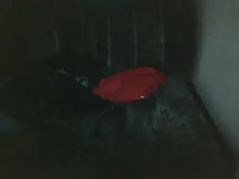 Jopofaxh online show from January 11, 1:51 pm