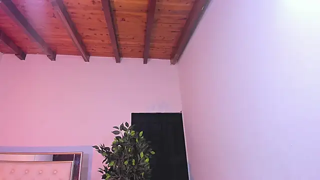 im sebaslopez online show from January 11, 3:35 am