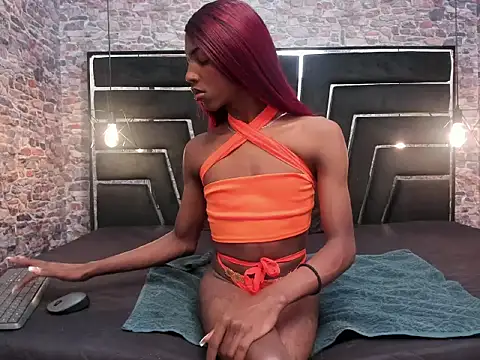 EXOTIC TRANS online show from January 19, 11:30 am