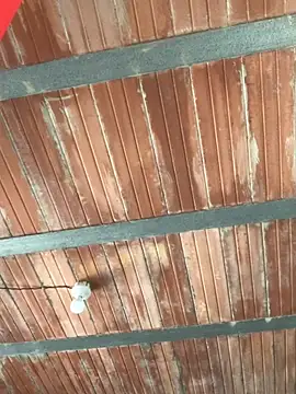 Megan2026 online show from November 30, 5:59 pm