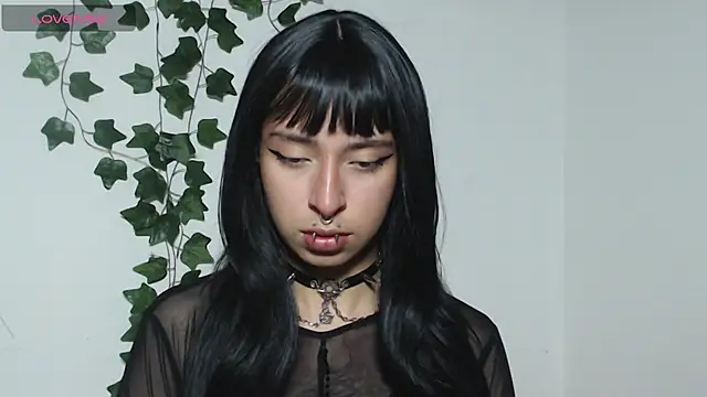 Oasis fairy  online show from March 29, 4:35 am