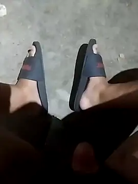 translee online show from March 22, 12:04 am