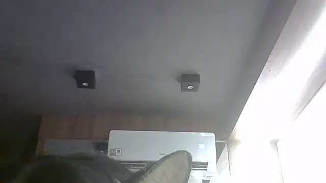 Skinny-Kitten online show from April 14, 3:17 pm